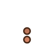 244