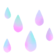 029