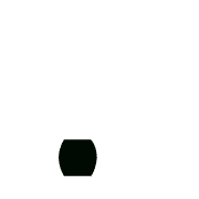 246