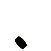 256