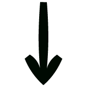 261