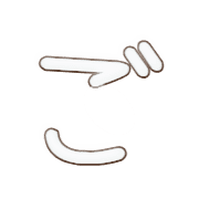 060