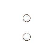 244