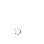 246
