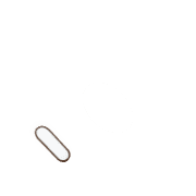 256
