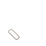 256