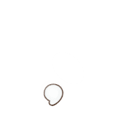 245