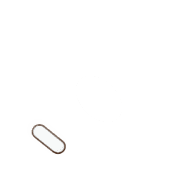 256