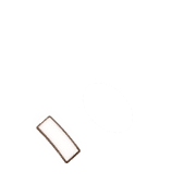 256