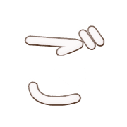 060