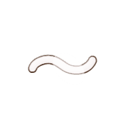 224
