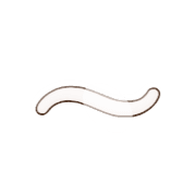 224