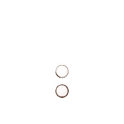 244
