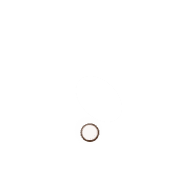 246