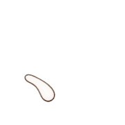 256