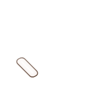 256