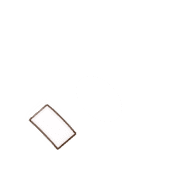 256