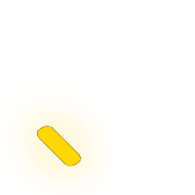 256