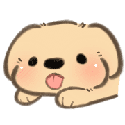 mini baby golden doggo รูปที่ 6