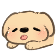 mini baby golden doggo รูปที่ 7