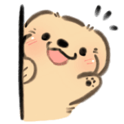 mini baby golden doggo รูปที่ 14