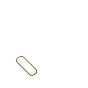 256