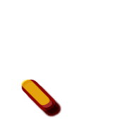 256