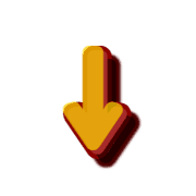 261