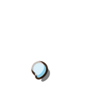 245