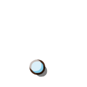 246