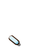 256