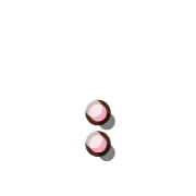 244