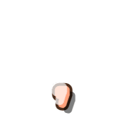 245