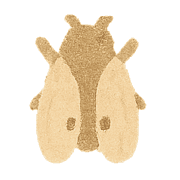 031