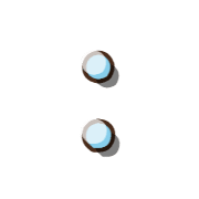 244