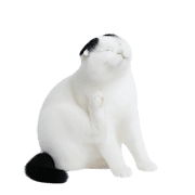 002