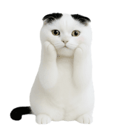 007