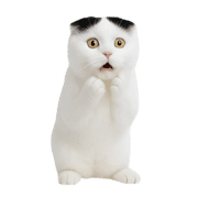 019