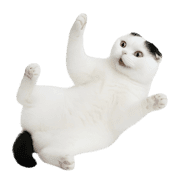020
