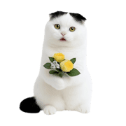 028