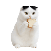 032