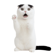 033