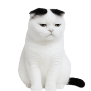 038