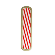 081