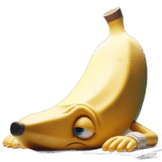 008
