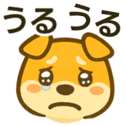 026