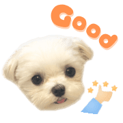 005