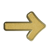101
