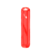081