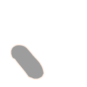 256